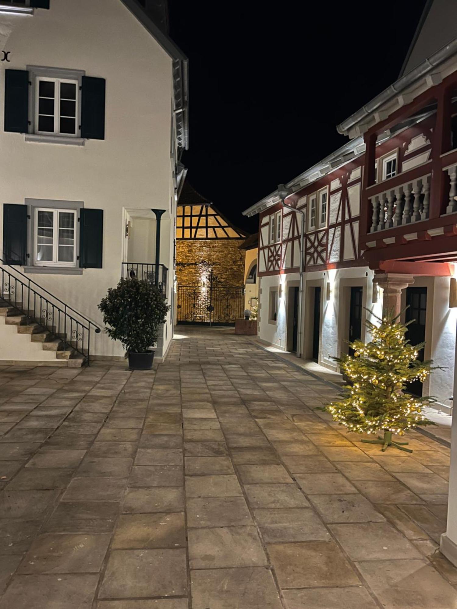 Karlbacher Domizil Ferienwohnungen Grosskarlbach Exterior foto